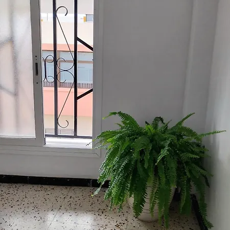 Roque's House A Apartman Telde