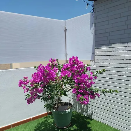 Apartamento Roque's House A Telde