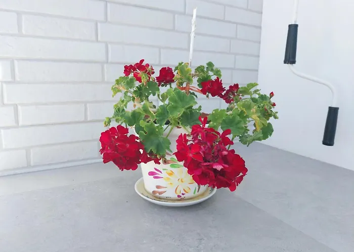 Roque's House A * Telde