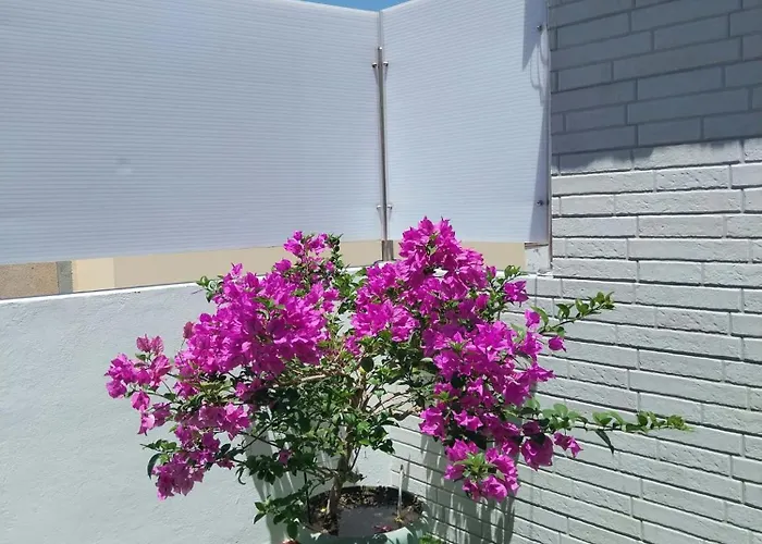 Apartment Roque's House A Telde